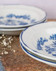 Set de 4 Platos Avenero 20 cm | Carola Azulejo