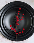 Plato Trinche 19 cm Sin Relieve Negro Mate | Chena