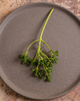 Plato Trinche 27 cm Plana | Plana Eco Ceramics
